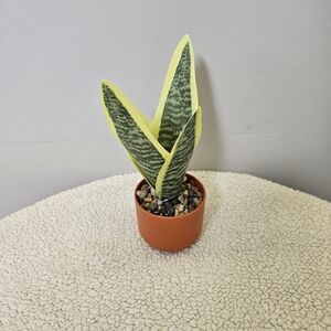 Green and Yellow Reptile Plant Decor